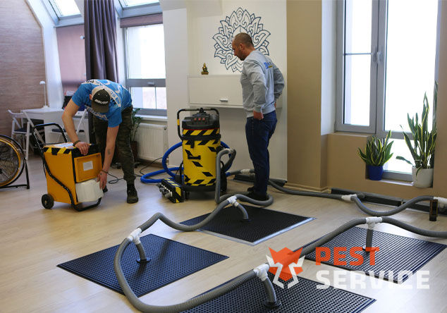 Профессиональная сушка после потопа в Краснокаменске от 3000 руб. Быстро устраняем влагу, предотвращаем плесень и повреждения. Современное оборудование и опытные специалисты. Безопасно и эффективно.